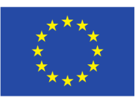 EU Model Clause